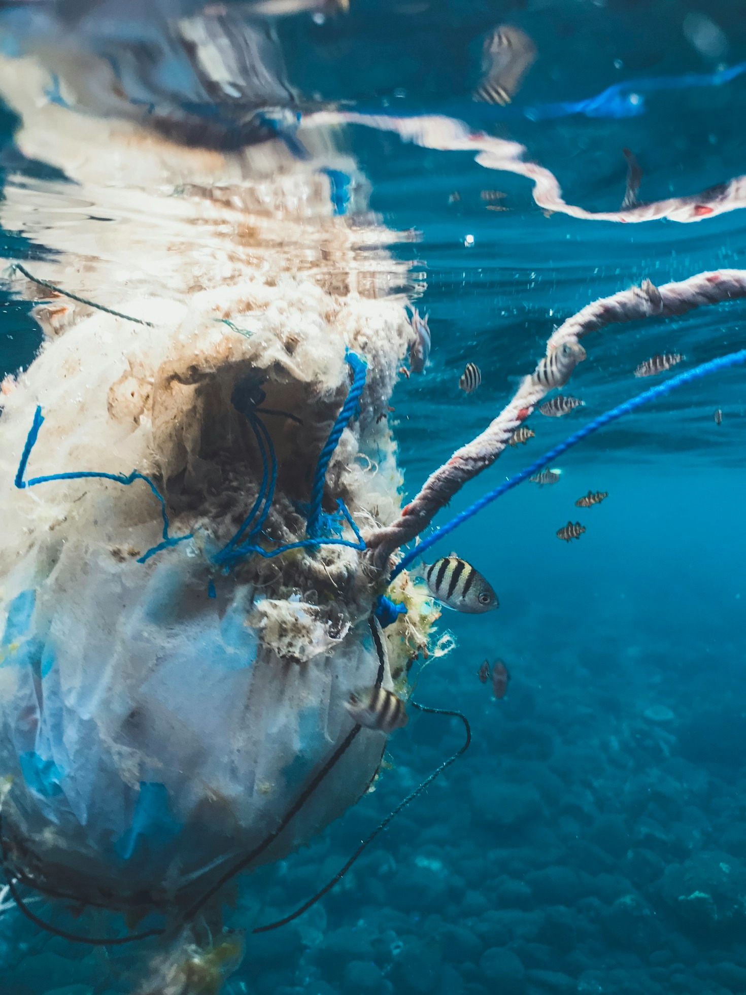 How Scotland Can Lead the Plastic-Free Movement