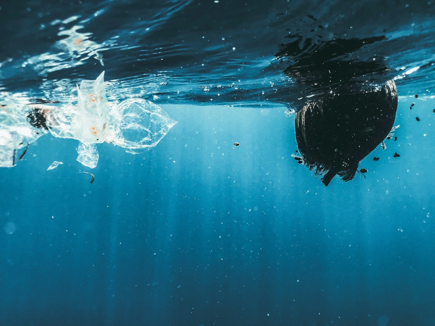 Sustainable Alternatives to Single-Use Plastics